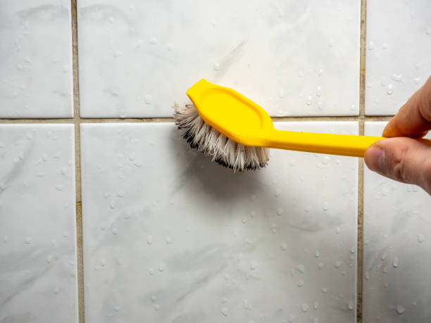 Best Post-Flood Mold Remediation in Parma Heights, OH