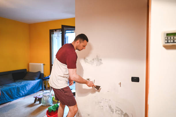 Best Insurance-Related Mold Remediation in Parma Heights, OH